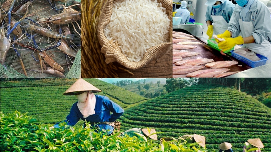 Vietnam enjoys two-fold growth in agricultural trade surplus